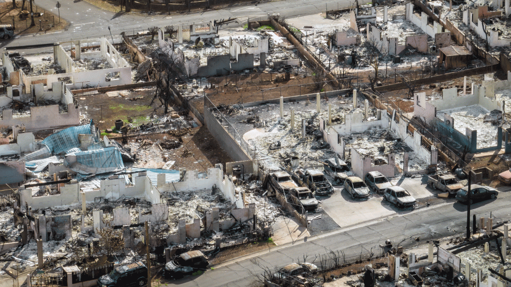 A Major Power Outage In Lahaina The Day Of The Fire Likely Saved Lives