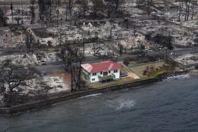 Struggling to Keep or Find Housing After Maui’s Wildfires? Tell Us Your Story.