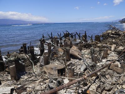The Maui Fire ATF Report Is Expected To Be Released Next Week