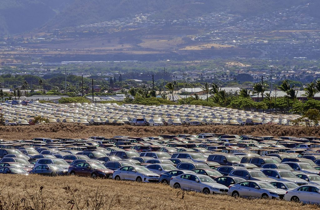 Economic Shocks From Wildfires Reverberate Across Maui