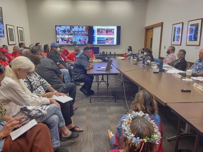 With Hawaii Civic Engagement At A Crossroads, Let’s Use AI For Good