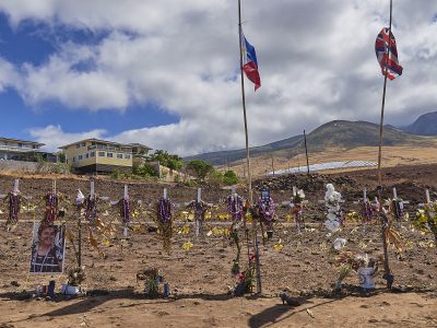 Now We Know: The Need For Legislative Reform Can Be A Matter Of Life And Death