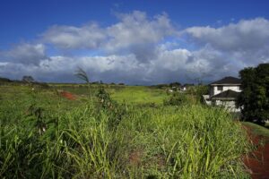 Department Of Hawaiian Home Lands Looks At New Lots To Reduce Waitlist