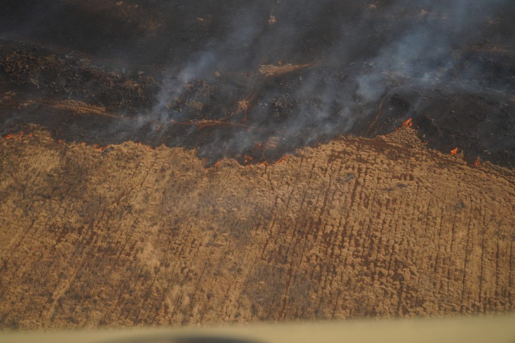 Hawaii Has Long Shortchanged Wildfire Protection: ‘We Could Have Saved Lives’