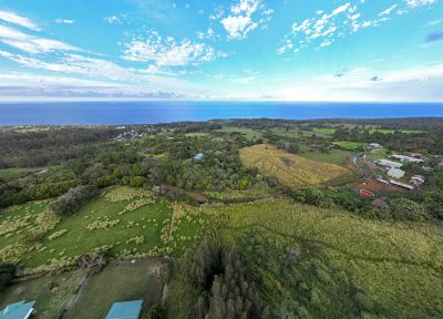 Matthew Leonard: How The Hamakua Burn Of 1901 Started Hawaii’s Fire Clock