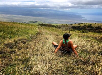 Looking For An Economic Transformation? Think ‘Big Island Green’
