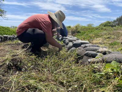 Maui Ecosystem To Get Help From Fire Victims