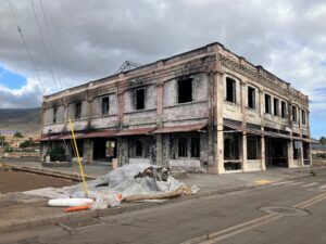 Kirstin Downey: ‘It Needs To Look Like Lahaina Again’