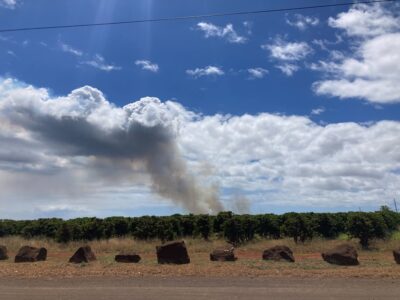 Evacuation Order Lifted After West Kauai Brush Fire Reported 100% Contained