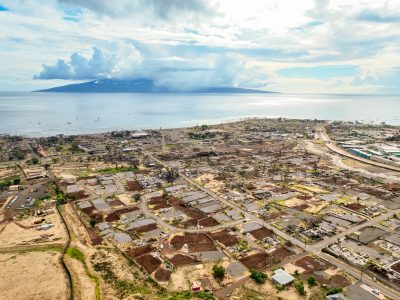 Catherine Toth Fox: Travel —And Spend — Wisely When Going To Maui