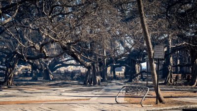 Native Hawaiian Sacred Sites Have Been Damaged In The Lahaina Wildfires
