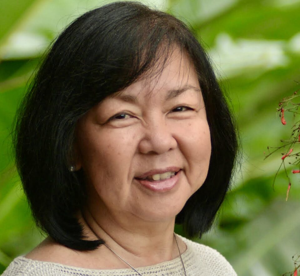 Maui Council Candidate Wants State Supreme Court To Void Election