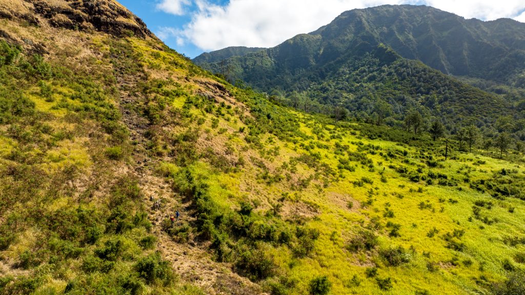 Hawaii Needs To Build Hundreds More Miles Of Firebreaks To Protect Against Wildfire